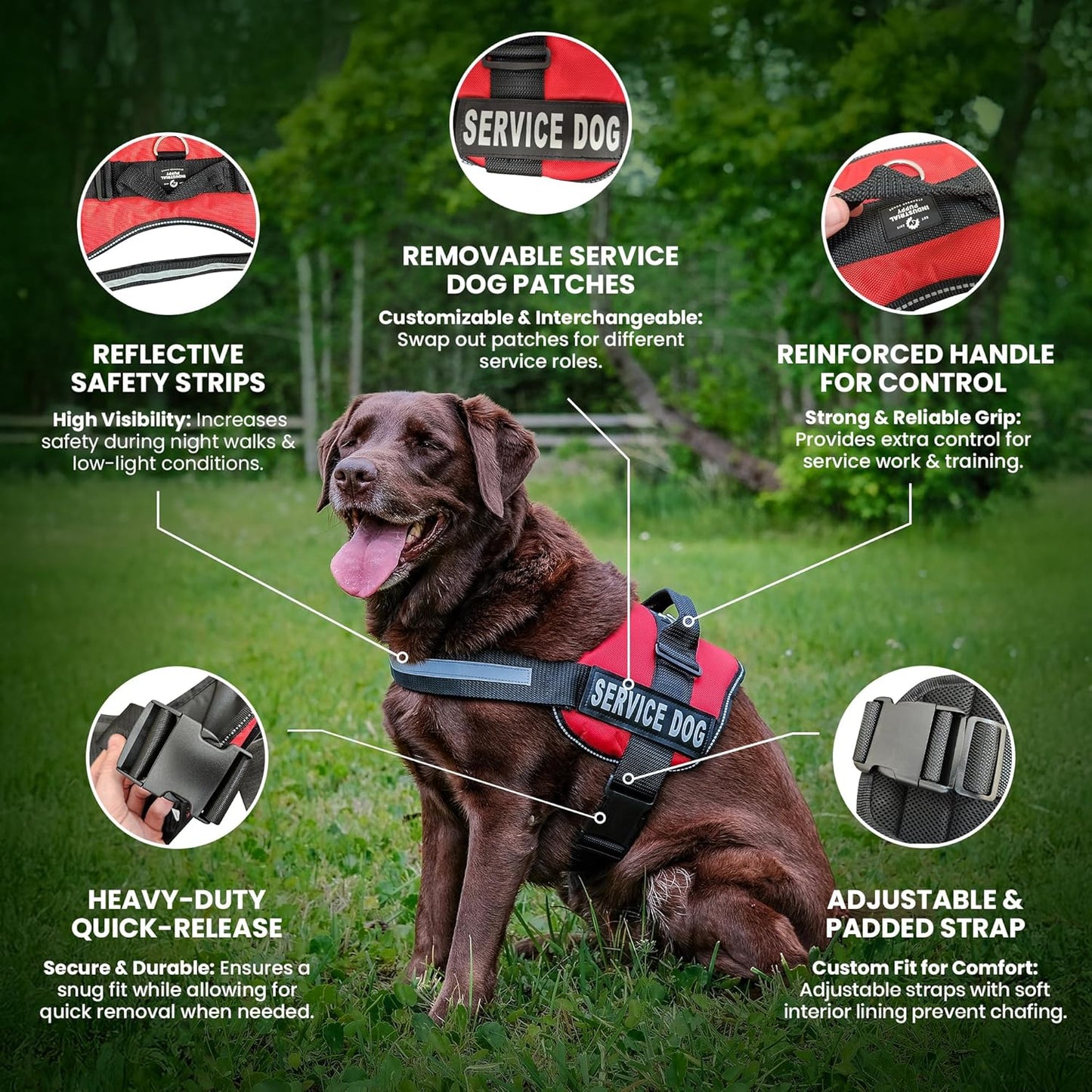 Service Dog Vest with Hook and Loop Straps & Matching Service Dog Leash Set - Harnesses from XXS to XXL - Harness Features Reflective Patch and Comfortable Mesh Design