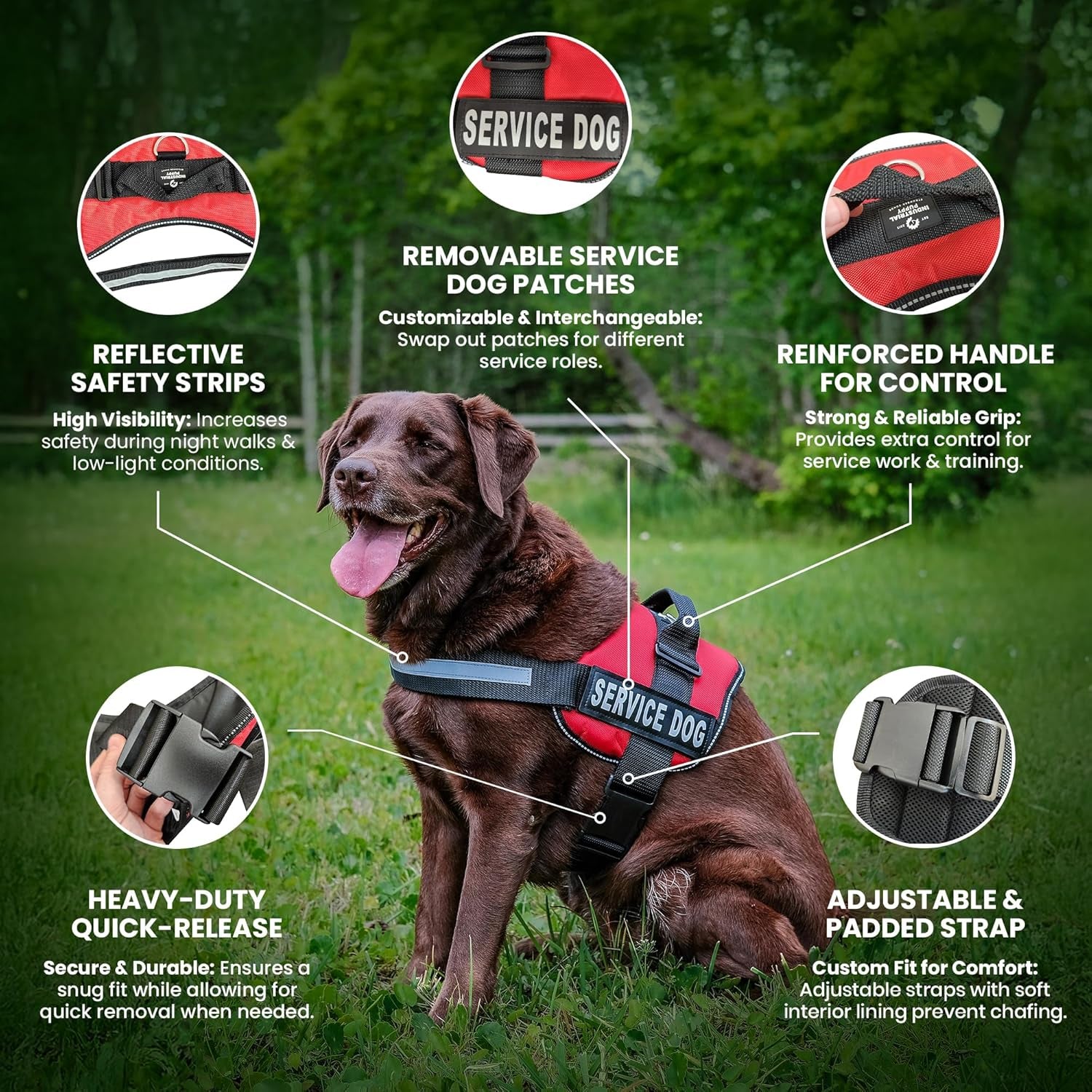 Service Dog Vest with Hook and Loop Straps & Matching Service Dog Leash Set - Harnesses from XXS to XXL - Harness Features Reflective Patch and Comfortable Mesh Design