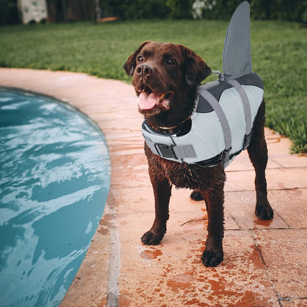 Dog Life Vests, Dog Floats for Swimming, Boat, Pool, Ripstop Pet Life Jacket with High Buoyancy and Lift Handle for Small and Medium Breeds, (M,Grey)